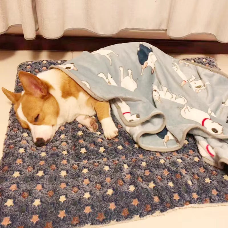 Pet Sleeping Mat Warm Dog Bed Soft Fleece Pet Blanket Cat Litter Puppy Sleep Mat Lovely Mattress Cushion for Small Large Dogs